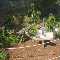 LA-ZOO-0103