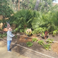 LA-ZOO-0109