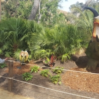 LA-ZOO-0110