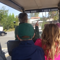 LA-ZOO-0112