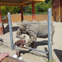 LA-ZOO-0131