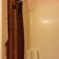 Demo of Shower Demo of Shower