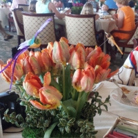 20150405_122649.jpg