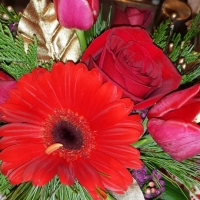 20141224_200421