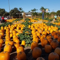 20161019_093845