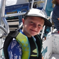 Dolphins and You Boat Tour