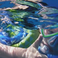 Swimming with the dolphins
