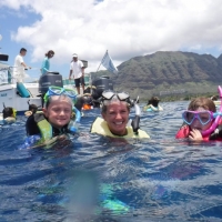 Swimming with the dolphins