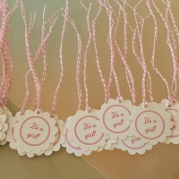 Jennifer Zacharias Baby Shower