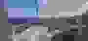 20220419_081810