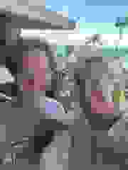 20220423_082122