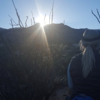 Sunrise in the desert