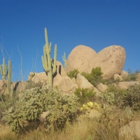 Miraval Morning Hike