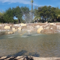Things you see at Miraval
