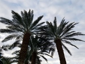 20190130_072459
