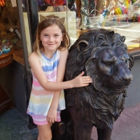 Fun with the Lion