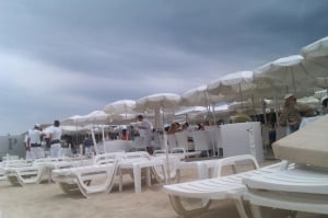 Les Palmiers
