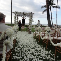 Wedding Ceremony Palm Grove