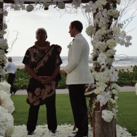 Wedding Ceremony Palm Grove