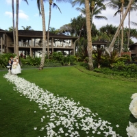 Wedding Ceremony Palm Grove