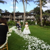 Wedding Ceremony Palm Grove