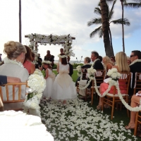 Wedding Ceremony Palm Grove