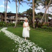 Wedding Ceremony Palm Grove