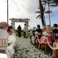 Wedding Ceremony Palm Grove