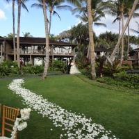 Wedding Ceremony Palm Grove