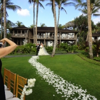 Wedding Ceremony Palm Grove
