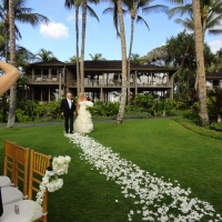 Wedding Ceremony Palm Grove