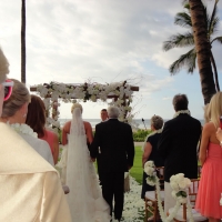 Wedding Ceremony Palm Grove