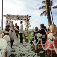 Wedding Ceremony Palm Grove