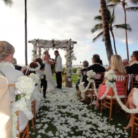 Wedding Ceremony Palm Grove