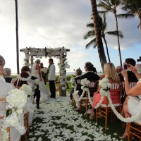 Wedding Ceremony Palm Grove