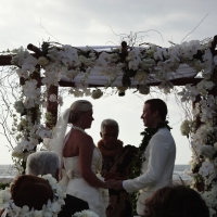 Wedding Ceremony Palm Grove