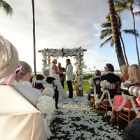 Wedding Ceremony Palm Grove