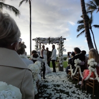 Wedding Ceremony Palm Grove