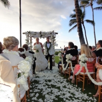 Wedding Ceremony Palm Grove
