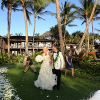 Wedding Ceremony Palm Grove