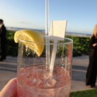 Wedding Ceremony Palm Grove