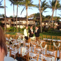 Wedding Ceremony Palm Grove