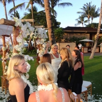 Wedding Ceremony Palm Grove