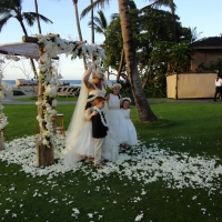 Wedding Ceremony Palm Grove