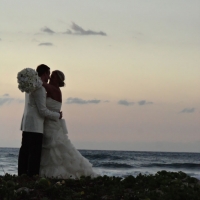 Wedding Ceremony Palm Grove