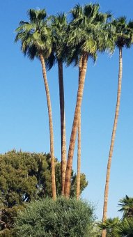 20190421_084358