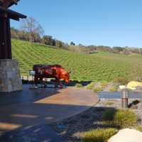 Halter Ranch
