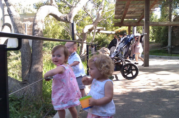 Sierra, Camille, Jett & Tripp at the SB Zoo